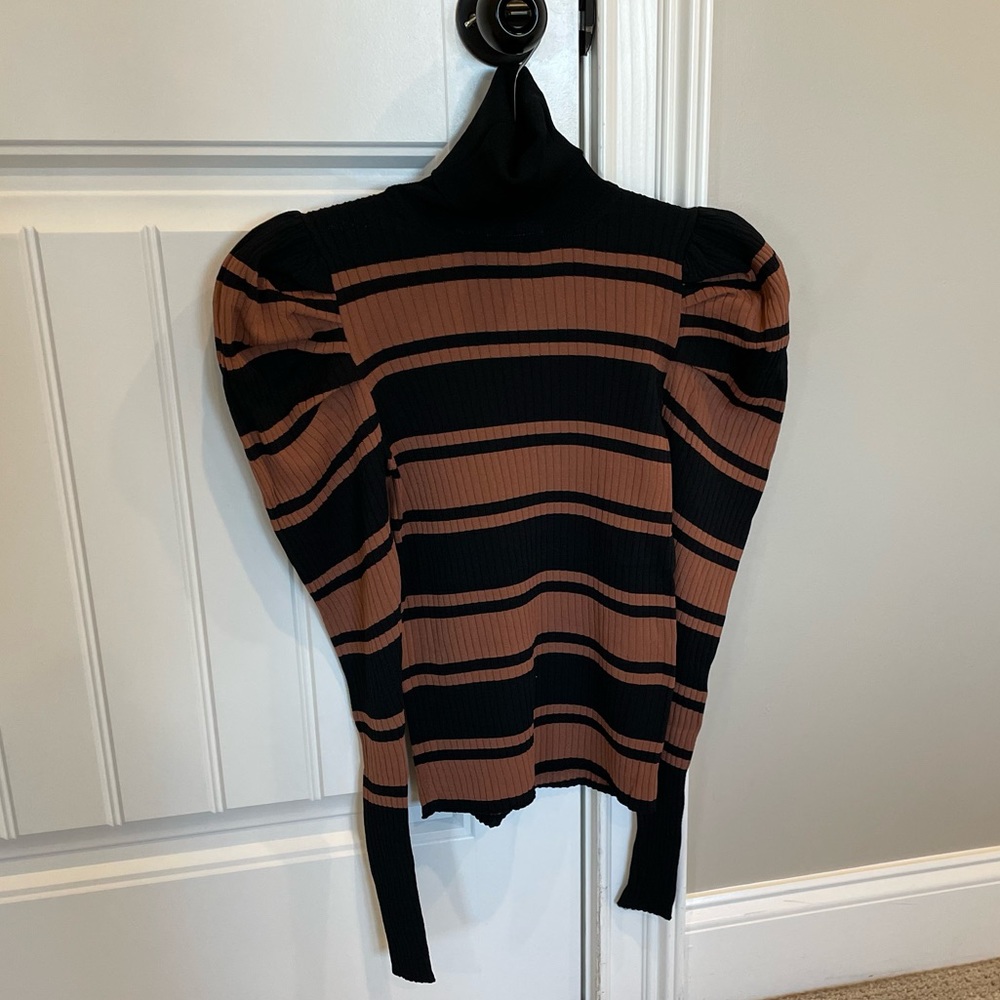 Zara Striped turtleneck sweater